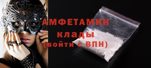 СК Алексин
