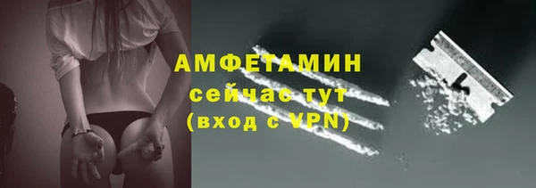 СК Алексин