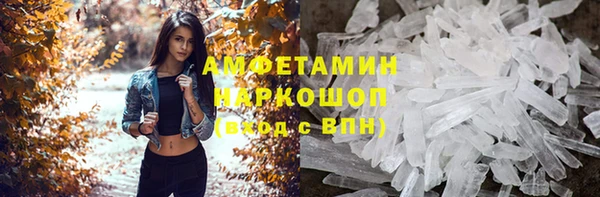 СК Алексин